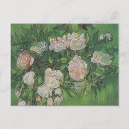 Rose Bush von Vincent Van Gogh Postkarte