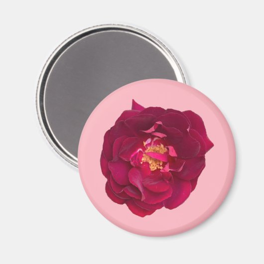 ROSE C MAGNET (Vorderseite/Rückseite)