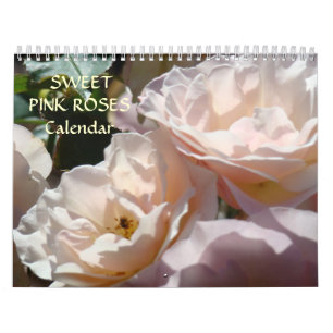 ROSE CALENDAR Sweet PINK ROSE BLUME Kalender