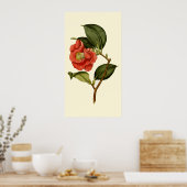 Rose Camellia Poster (Küche)