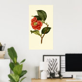 Rose Camellia Poster (Heimbüro)