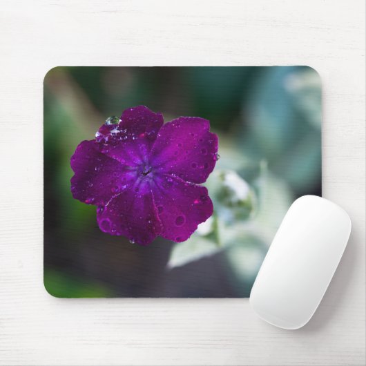 Rose Campion Silene coronaria Mousepad (Mit Mouse)