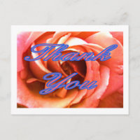 Rose Canterbury 4 Vielen Dank 1 Das MUSEUM Zazzle 
