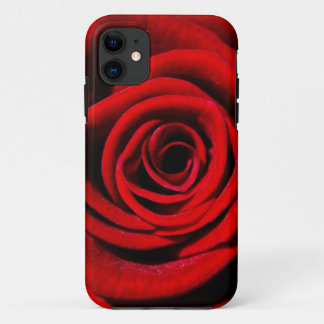 Rose iPhone 11 Hülle