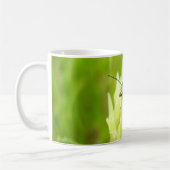 Rose Chafer Bug Tasse (Links)