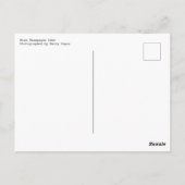 Rose Champagne Cake Postkarte (Rückseite)