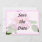Rose Chicago Peace Save the Date (Rückseite)