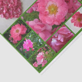 Rose Collage Pink Supreme Tissue Paper Seidenpapier (Ausschnitt)