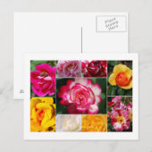 Rose Collage Postcard Postkarte (Vorne/Hinten)