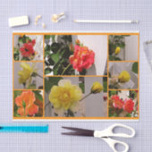 Rose Collage zeichnet das Katzengewebe Seidenpapier (Handwerk)