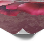 Rose Colored Beauty Poster (Ecke)