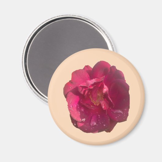 ROSE D MAGNET (Vorderseite/Rückseite)
