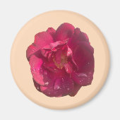 ROSE D MAGNET (Vorne)