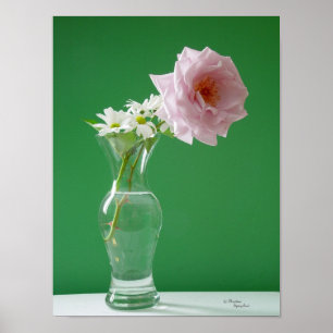 Rose Daisies Poster