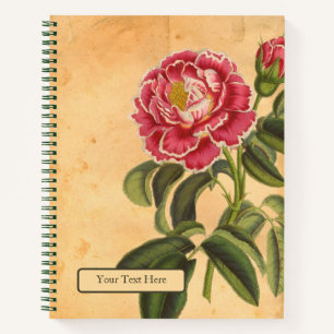 Rose de Provence Spiral Notebook Notizblock