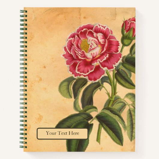 Rose de Provence Spiralblock Notizblock (Vorderseite)