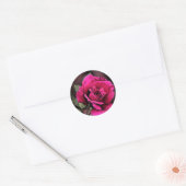 Rose der antiken Liebe Runder Aufkleber (Umschlag)