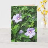 Rose der Blume von Sharon Hibiskus Karte (Gelbe Blume)