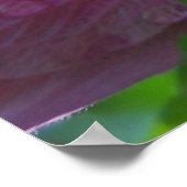 Rose der Blume von Sharon Poster (Ecke)