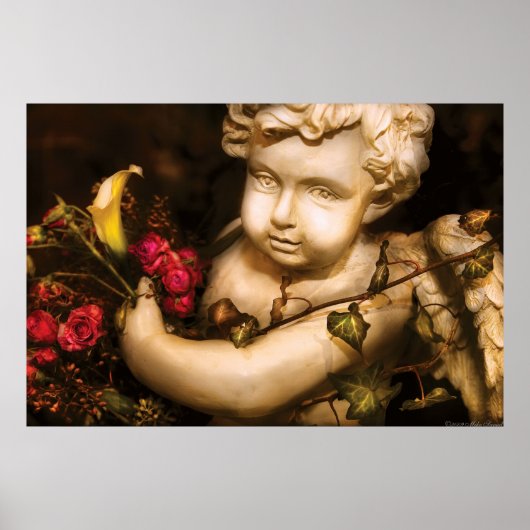 Rose - Der Cherub Poster (Vorne)