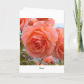 Rose der Freundschaft Karte (Rückseite)