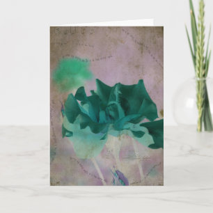 Rose der Jeden Anlaß im Sommer Karte