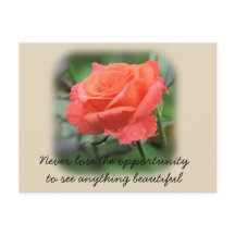 Rose der Korallen mit Raindrops