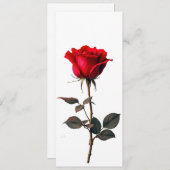 Rose der Liebe Einladung (Vorne/Hinten)