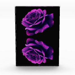 Rose der Liebe Fotoblock