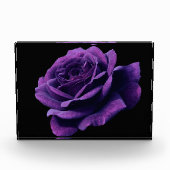 Rose der Liebe Fotoblock (Vorderseite)