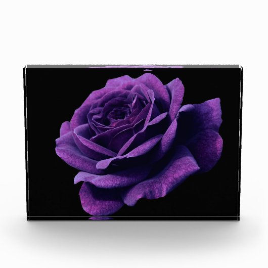 Rose der Liebe Fotoblock (Vorderseite)