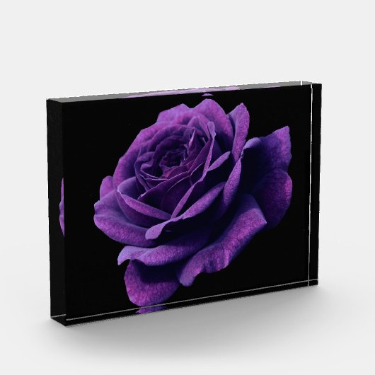 Rose der Liebe Fotoblock (Links)