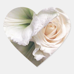 Rose der Liebe Lilies of Life_ Herz-Aufkleber