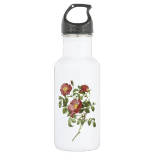 Rose der Liebe (Rosa pumila) von Redouté Edelstahlflasche