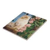 Rose der persischen Katze Fliese (Seite)