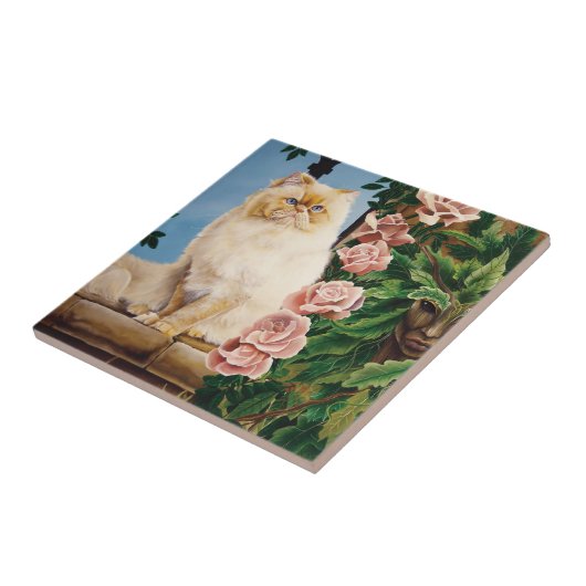 Rose der persischen Katze Fliese (Seite)