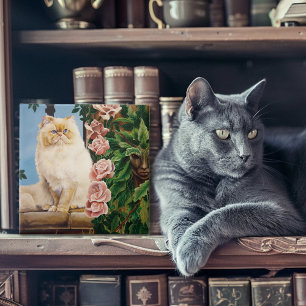 Rose der persischen Katze Fliese