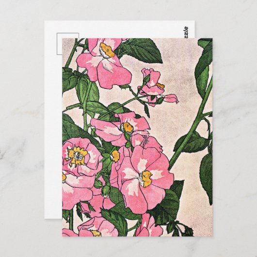 Rose der Prärie, hübsche Blumendarstellung, Postkarte (Vorne/Hinten)