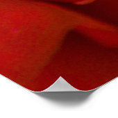 Rose der Raute Poster (Ecke)