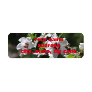 Rose der Sharon-Adressbezeichnungen