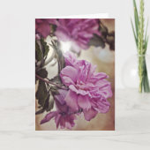 Rose der Sharon Sun Scripture Card Nummern 6:25 Karte (Vorderseite)