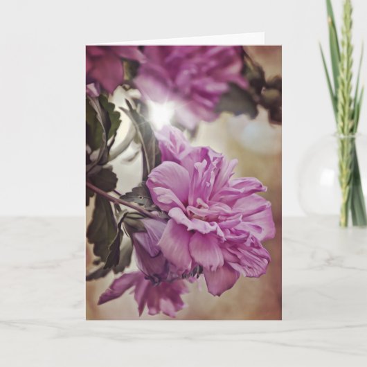 Rose der Sharon Sun Scripture Card Nummern 6:25 Karte (Vorderseite)