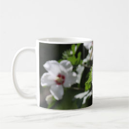 Rose der Tasse Sharon
