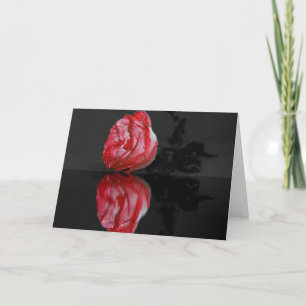 Rose der Wassergrüßkarte Karte