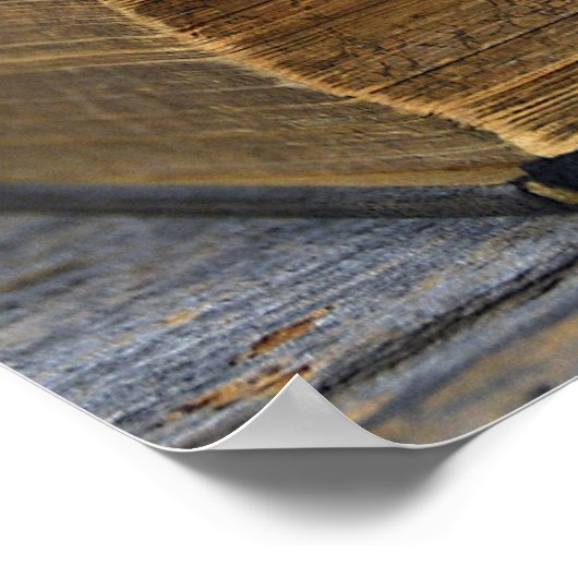 Rose des alten Buches Poster (Ecke)