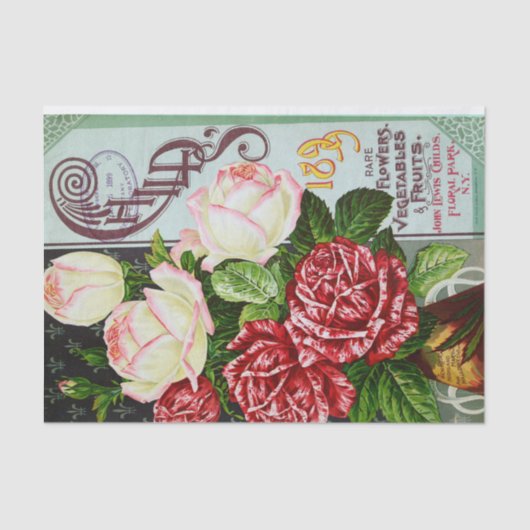 Rose des antiken Papiers 1899 Seidenpapier (Vorderseite)