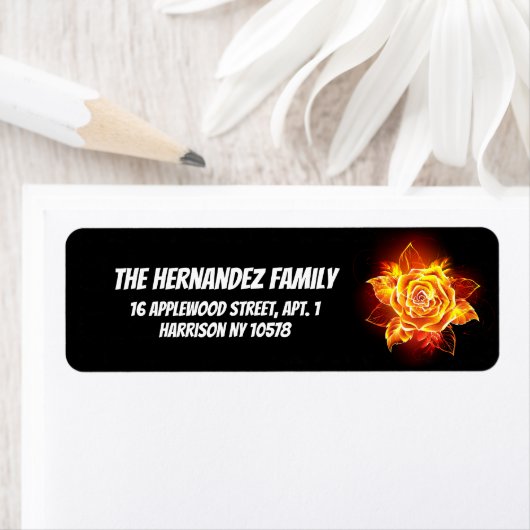 Rose des blühenden Feuers (Insitu)