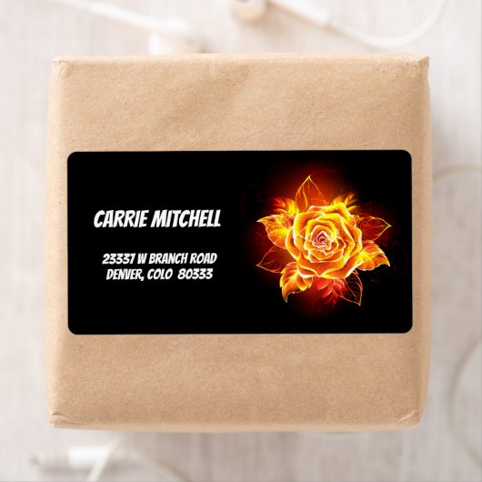 Rose des blühenden Feuers (Insitu)