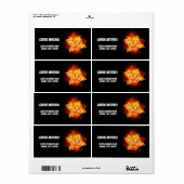 Rose des blühenden Feuers (Vorne)