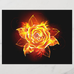Rose des blühenden Feuers